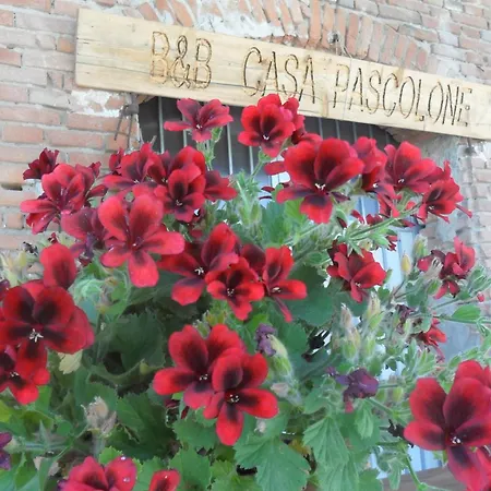 B&B Casa Pascolone-3